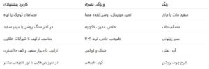 رنگ‌های پرطرفدار در سال ۱۴۰۴ برای کابینت روشویی